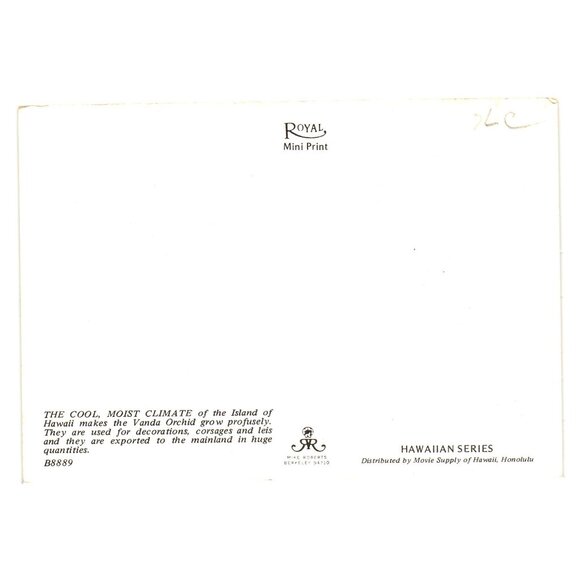 Vintage Hawaiian Series Royal Mini Print Orchid Field Photo Vanda Flowers Lei - Picture 2 of 2